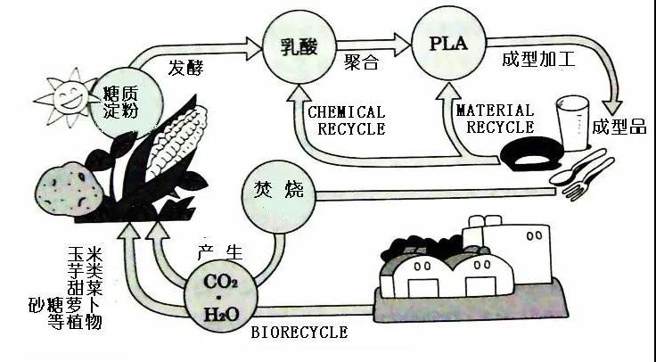 可生物降解環保塑料可以回收再利用嗎？(圖4)