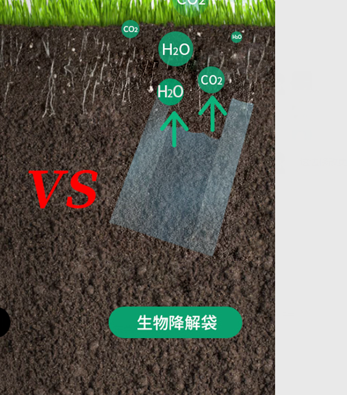 可生物降解環保塑料可以回收再利用嗎？(圖1)
